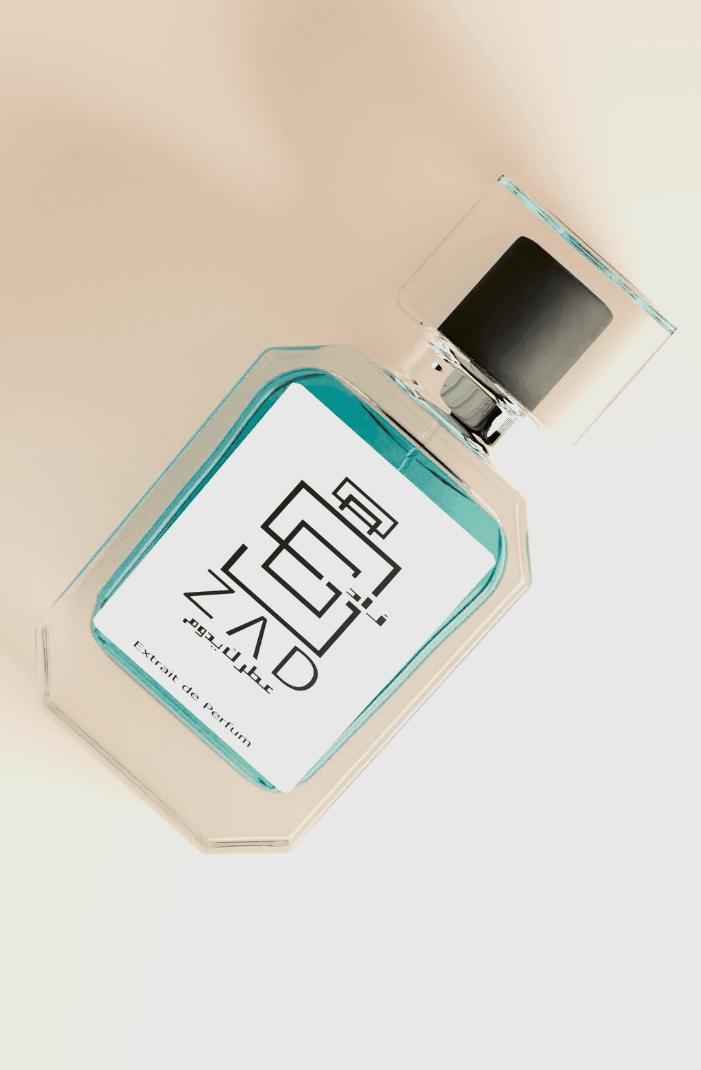 K (Dolce & Gabbana)