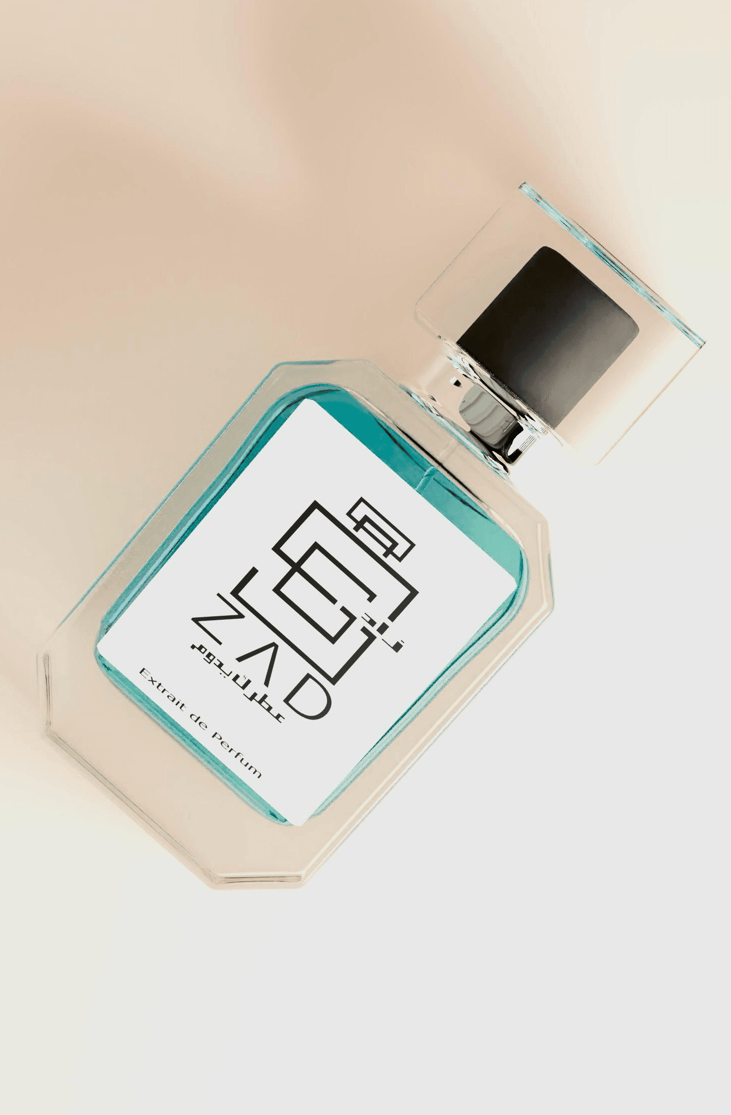 K (Dolce & Gabbana)